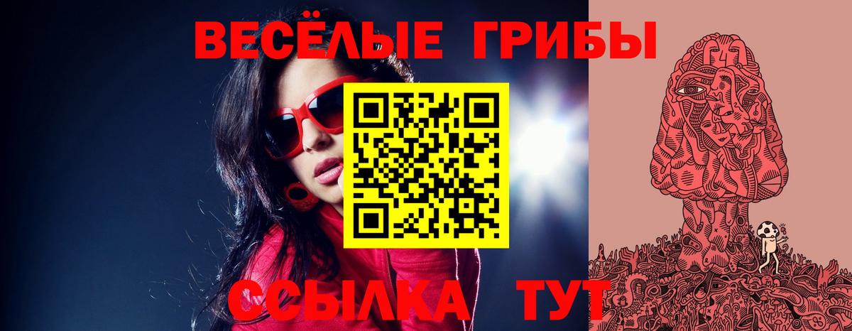 Галлюциногенные грибы ЛСД Кингисепп